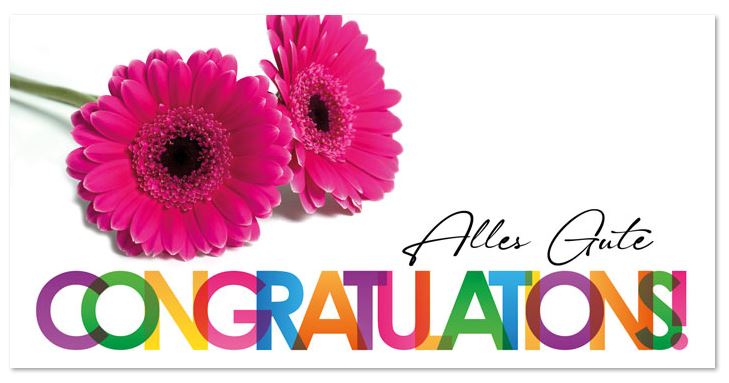 Farbenfrohe Glückwunschkarte "Congratulations!" mit zwei pinkfarbenen Gerberas, DIN lang