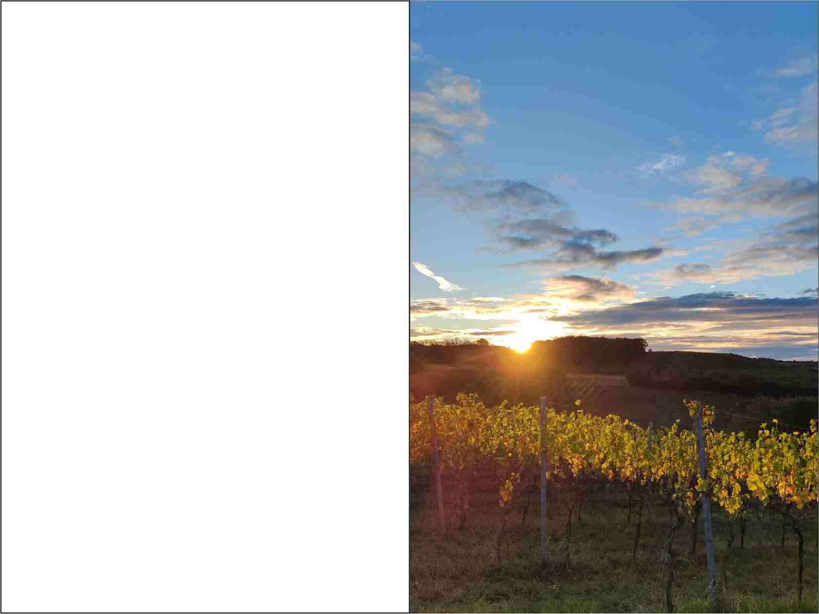 Außenseiten, Trauer Erinnerungsbildchen mit Fotodruck Sonnenaufgang im Weinberg