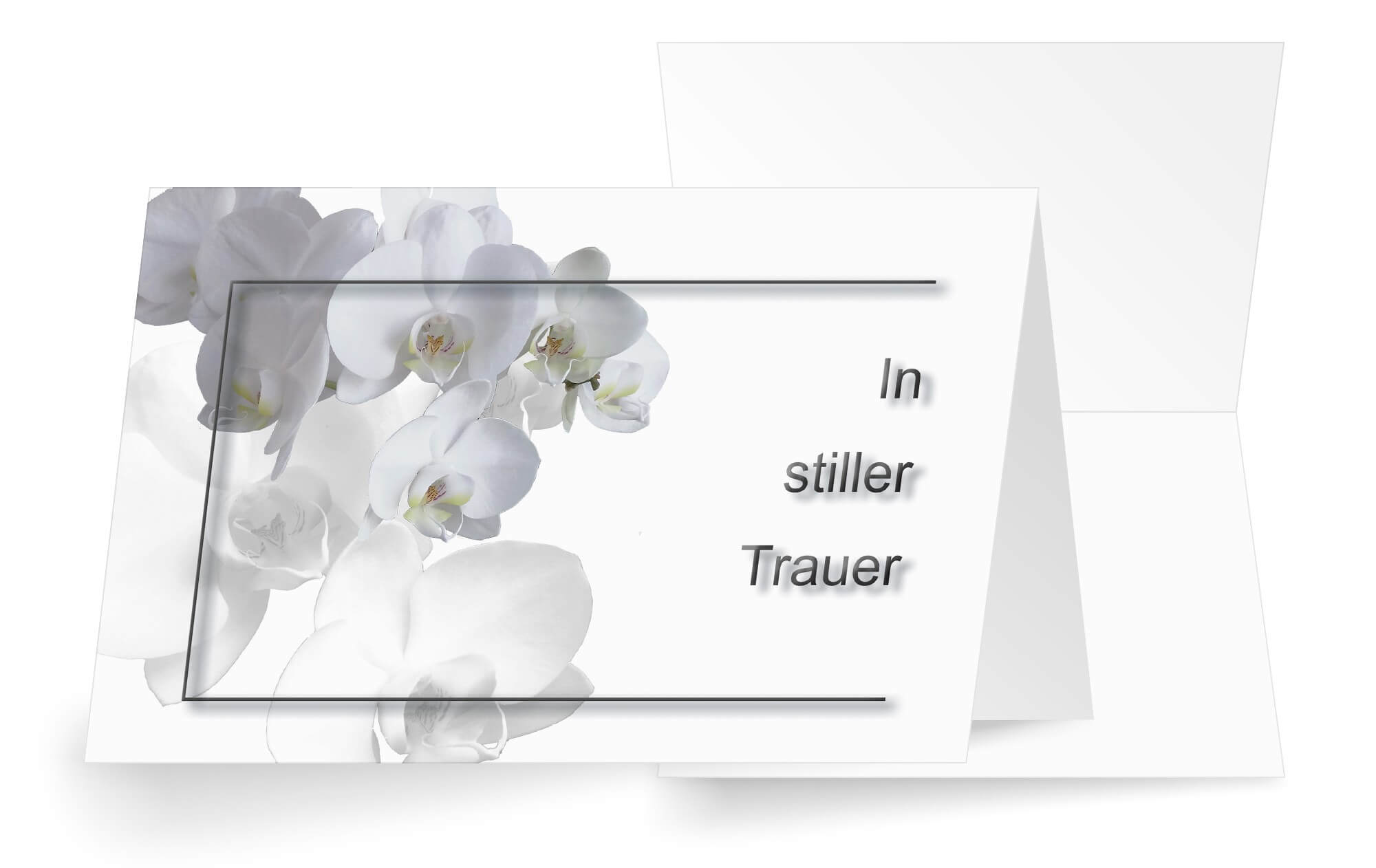 Trauerkarte mit weißen Orchideenblüten und Spruch "In stiller Trauer"