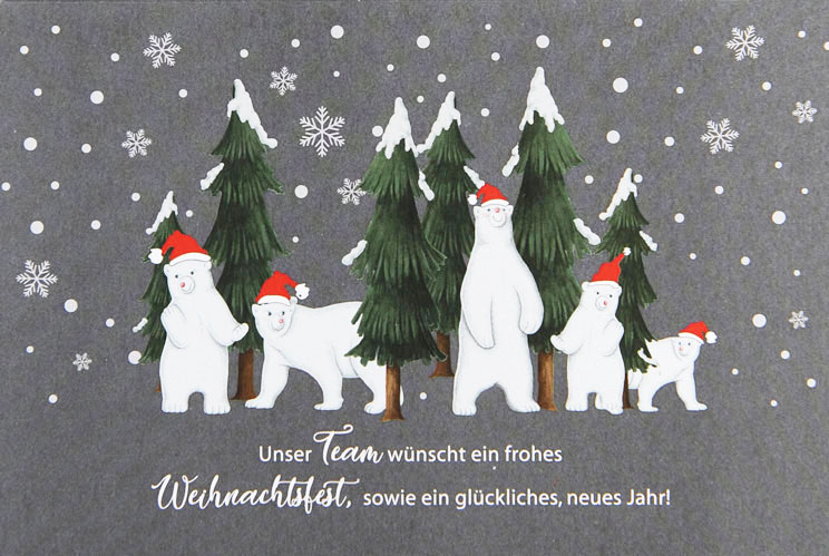 Weihnachtskarte Teamkarte mit Schriftzug: Unser Team wünscht ein frohes Weihnachtsfest, sowie ein glückliches, neues Jahr!