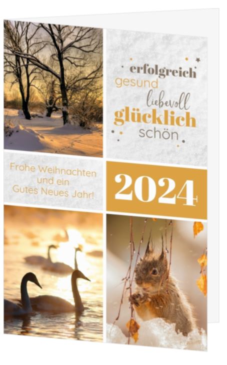 Spenden-Weihnachtskarte zugunsten der Berggorilla & Regenwald Direkthilfe e.V. mit Jahreszahl und Weihnachtsgruß