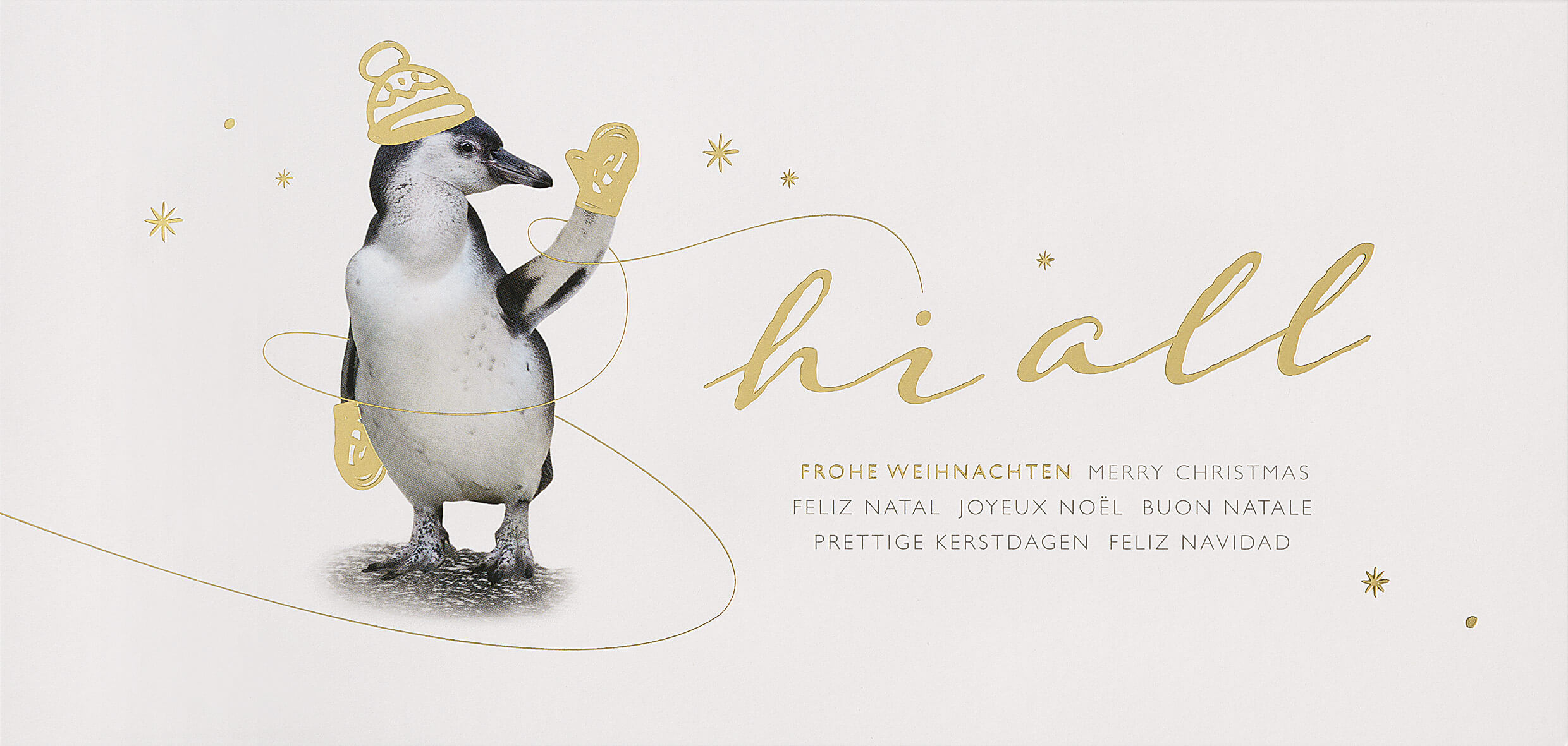 Originelle Weihnachtskarte im DIN lang Format mit einem winkenden Pinguin und internationalen Grüßen