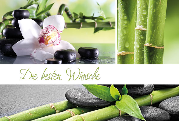 Glückwunschkarte mit Orchideenblüte und grünem Bambus im Asia-Style - Die besten Wünsche