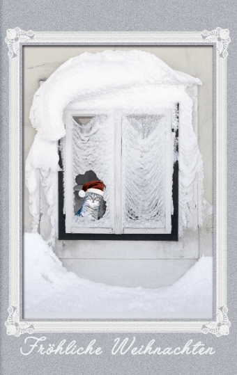 Weihnachtskarte in grau mit einer Katze am verschneiten Fenster und roter Mütze