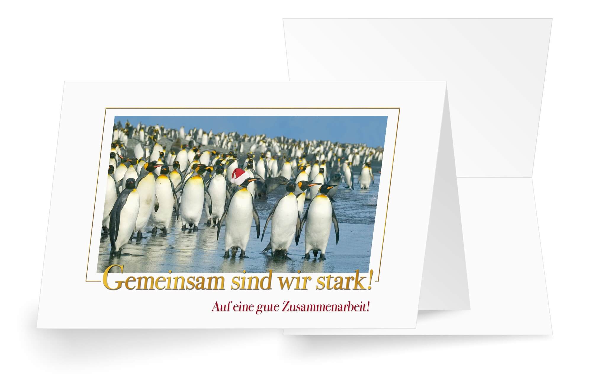 Geschäftliche Weihnachtskarte mit einer Kolonie Pinguine und "Gemeinsam sind wir stark"