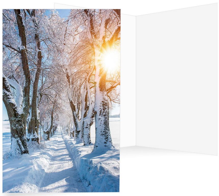 Stimmungsvolle Natur-Landschaftskarte mit schmalem Weg zwischen verschneiter Baumallee