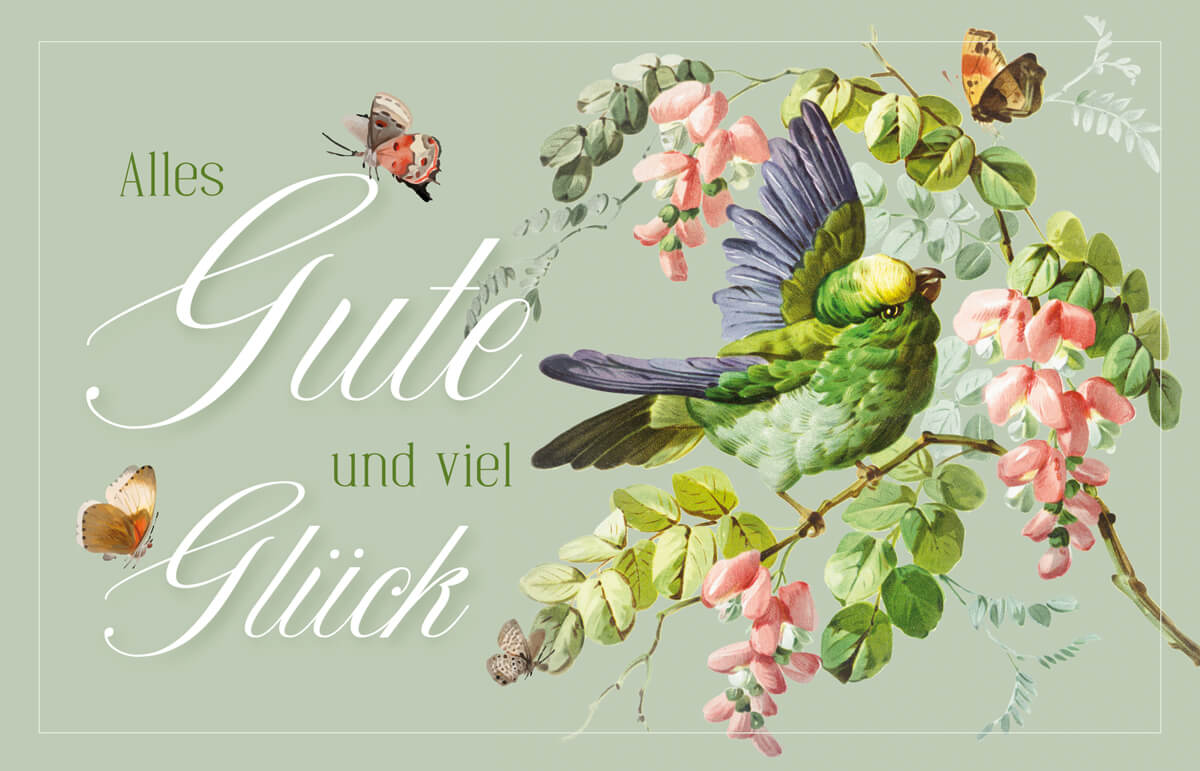 Mintgrüne Vintage-Glückwunschkarte mit Schmetterlingen, Vogel und rosa blühenden Zweigen