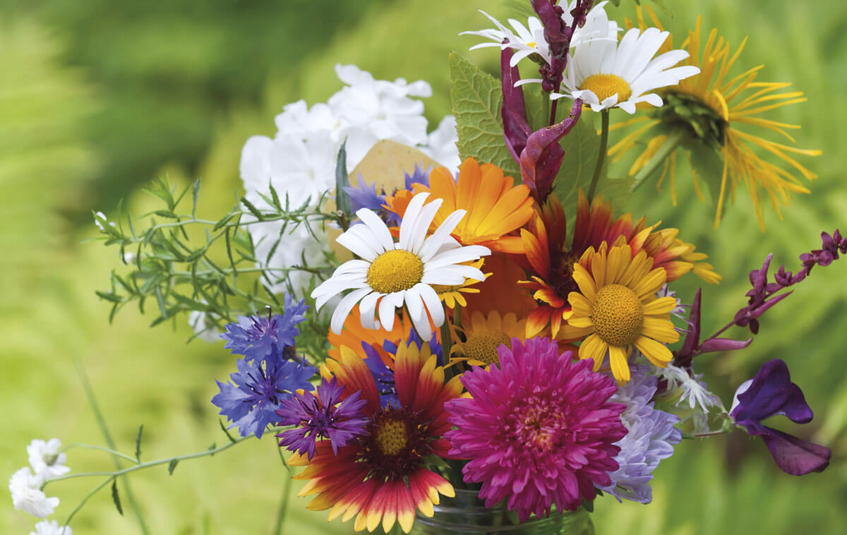 Sommerliche Grußkarte mit bunten Blumengrüßen, ohne Glückwunsch auf der Vorderseite