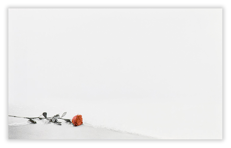 Cremeweiße Trauer-Dankkarte mit roter Rose, liegend am Sandstrand und Meeresgischt