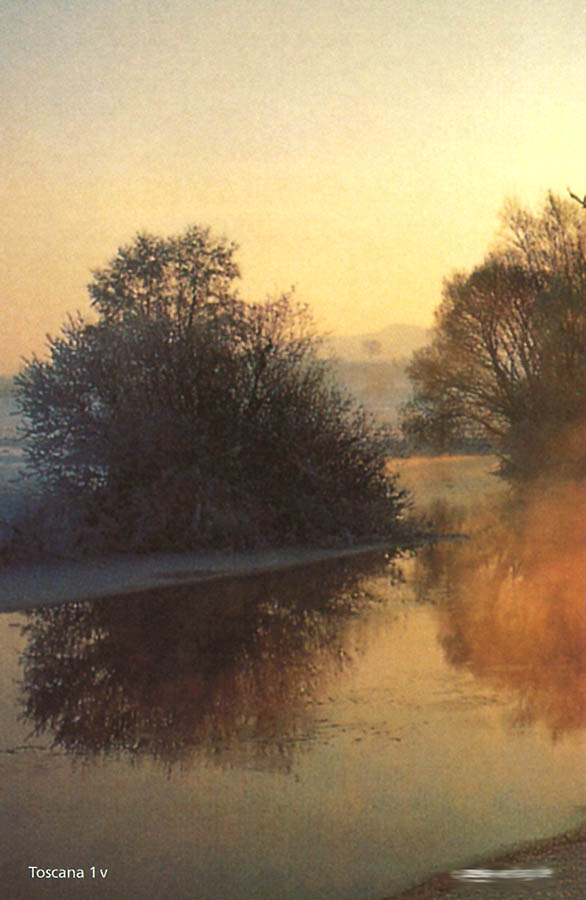 Trauer Erinnerungsbild mit Motivdruck eines Sonnenuntergang hinter Bäumen am Fluss - Rückseite