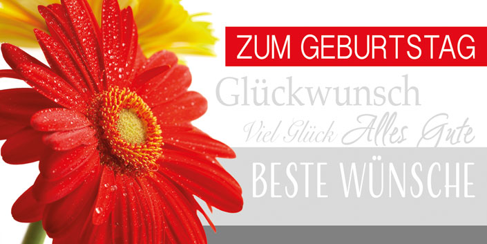 Glückwunschkarte zum Geburtstag im DIN lang Format mit roter Blume