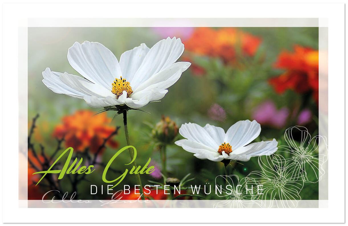 Sommer-Glückwunschkarte mit weißen Blüten und "Alles Gute" sowie "Die besten Wünsche"