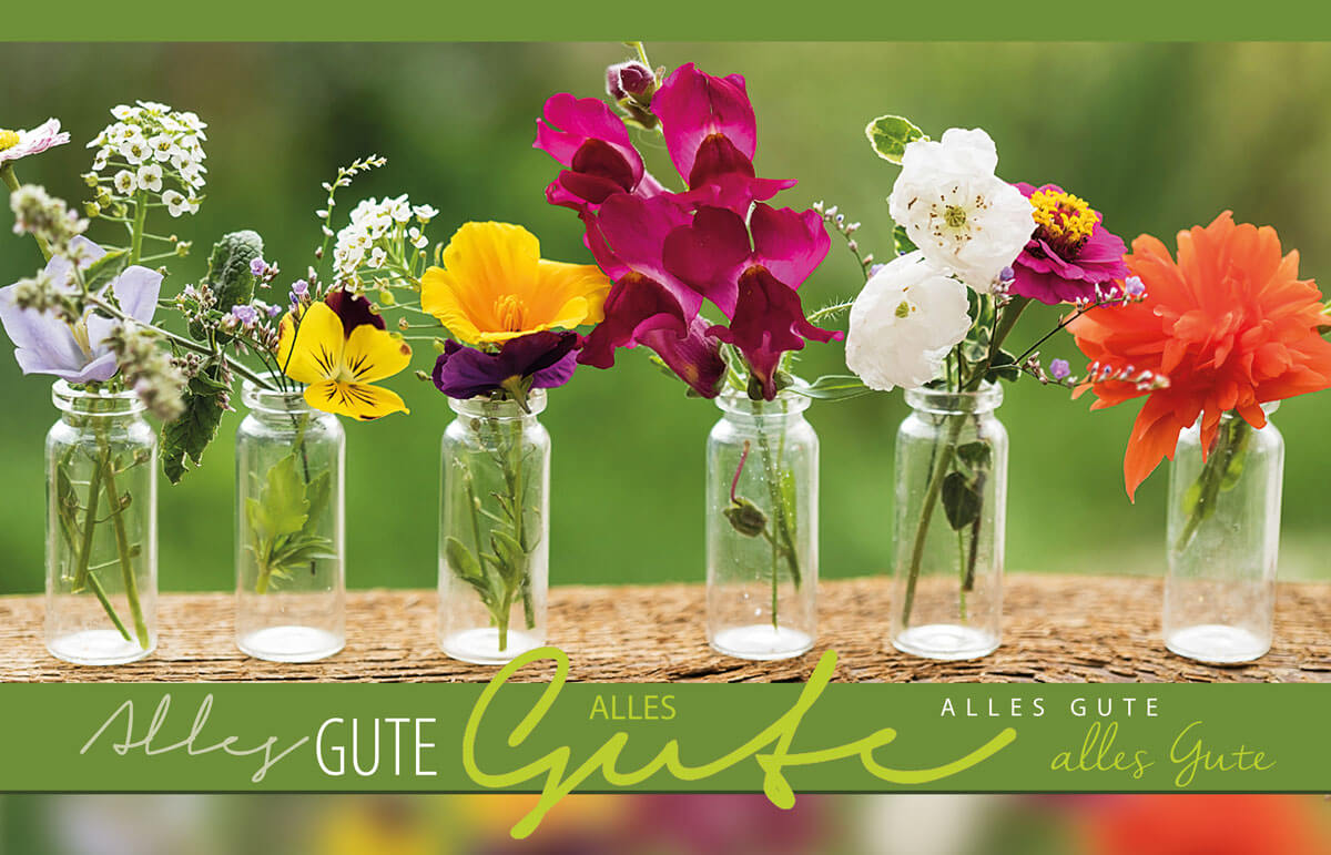 Sommerliche Glückwunschkarte mit bunten Blumen und "Alles Gute" in verschiedenen Schriftten