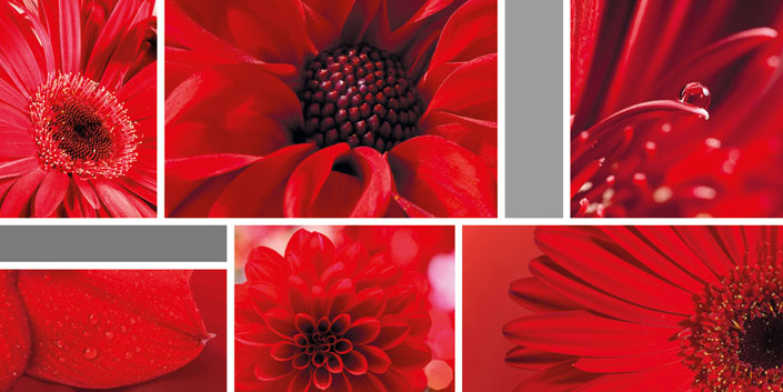 Grußkarte mit Fotocollage rote Blüten