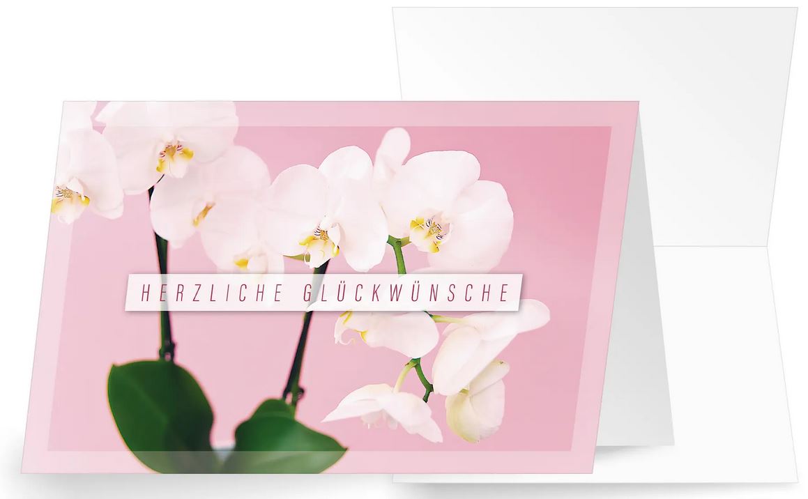 Rosafarbene Glückwunschkarte mit weißer Orchideenblüte und Spende für Ärzte ohne Grenzen