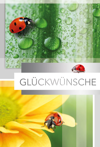 Glückwunschkarte "Glückwünsche" mit roten Marienkäfern auf Blattgrün und gelber Blüte