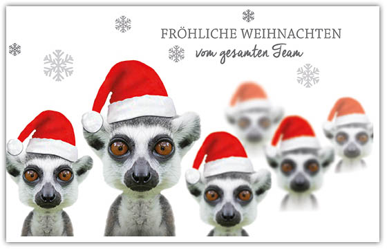 Spendenkarte als Team-Weihnachtskarte mit lustigen Erdmännchen und roten Mützen Kinderkrebsstiftung