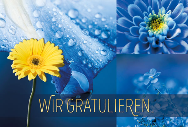 Glückwunschkarte mit blauem Motivdruck von Makro-Blumen-Fotos und reliefgeprägter, gelber Blüte sowie Schriftzug "WIR GRATULIEREN"