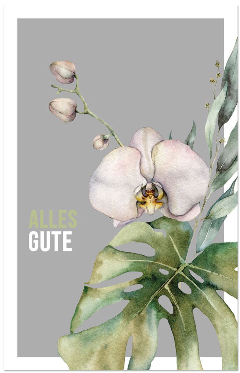 Glückwunschkarte mit weißer Orchideenpflanze und Fensterblatt sowie dem Gruß Alles Gute