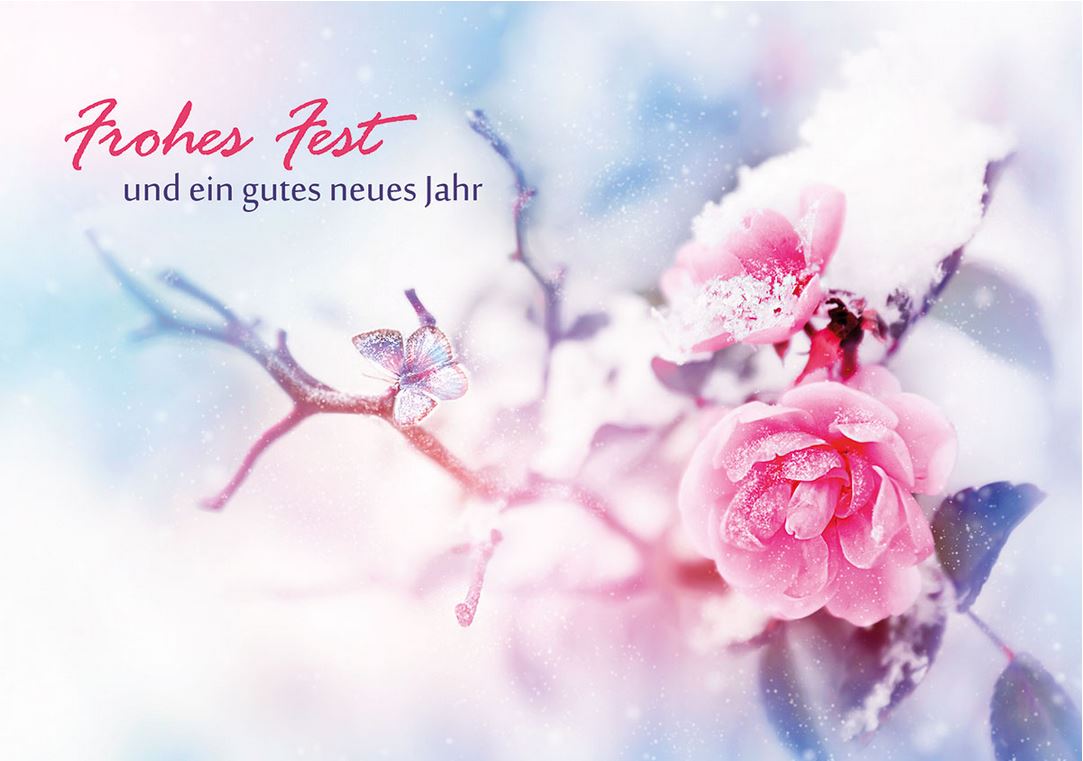 Winterliche Weihnachtskarte "Frohes Fest und ein gutes neues Jahr" mit vereister Rosenblüte