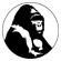 Logo Berggorilla Regenwald Direkthilfe e.V.