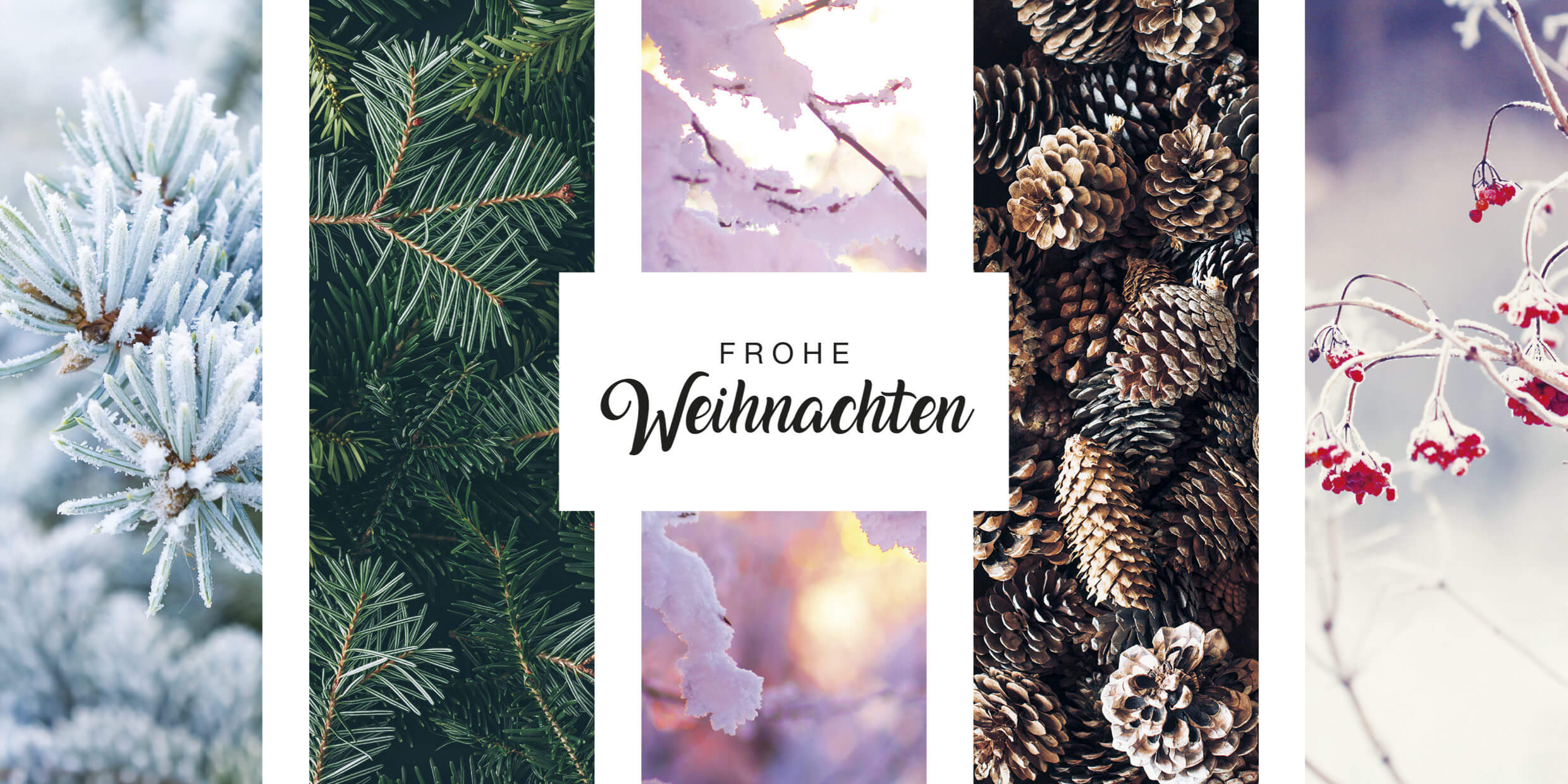 Klassische Weihnachtskarte im DIN lang Format mit Naturbildern im Glanzdruck und Weihnachtsgruß