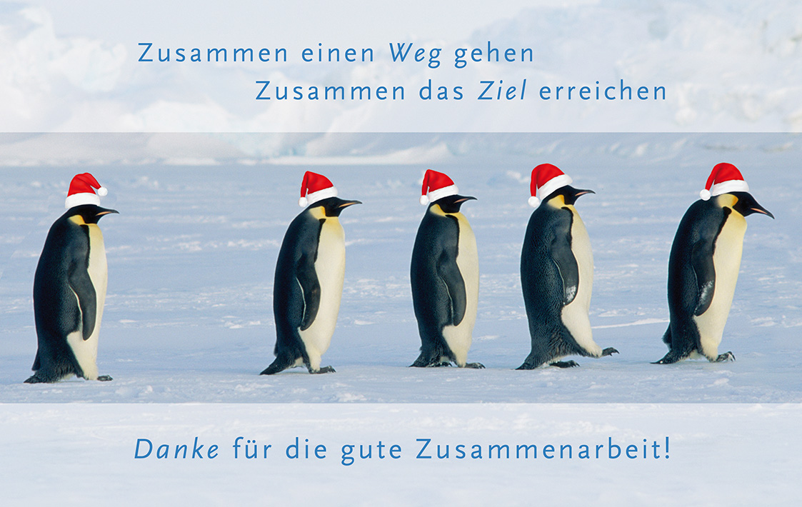 Weihnachtskarte mit Spende für die Deutsche Kinderkrebsstiftung bedruckt mit Pinguinen auf dem Eis