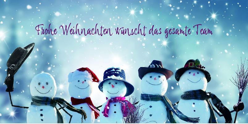 Lustige Firmenweihnachtskarte mit coolen Schneemännern und Grüßen vom gesamten Team, DIN lang