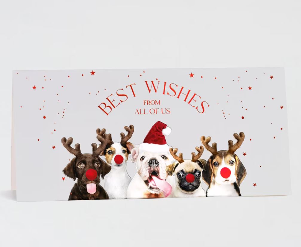 Witzige Firmenweihnachtskarte mit "Best Wishes form all of us" und putzigen Hunden mit roten Nasen