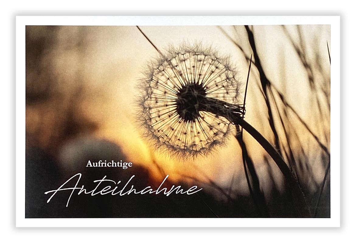 Beileidskarte mit Pusteblume im Sonnenuntergang und "Aufrichtige Anteilnahme"