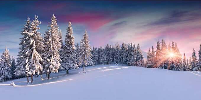 Winterliche Weihnachtskarte ohne Gruß im DIN lang Panoramaformat mit verschneitem Wald