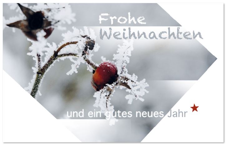 Winterliche Weihnachtskarte mit Weihnachtsgruß und gefrosteter Hagebutte