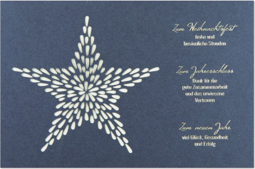 Blaue Firmen-Weihnachtskarte mit filigranem Stern und geschäftlichen Weihnachtsgrüßen