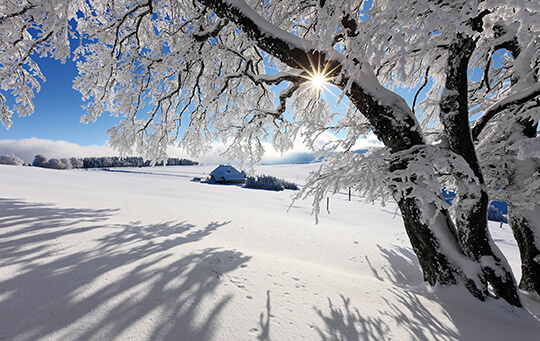 Klassische Weihnachtskarte ohne Weihnachtsgruß mit sonniger, verschneiter Winterlandschaft