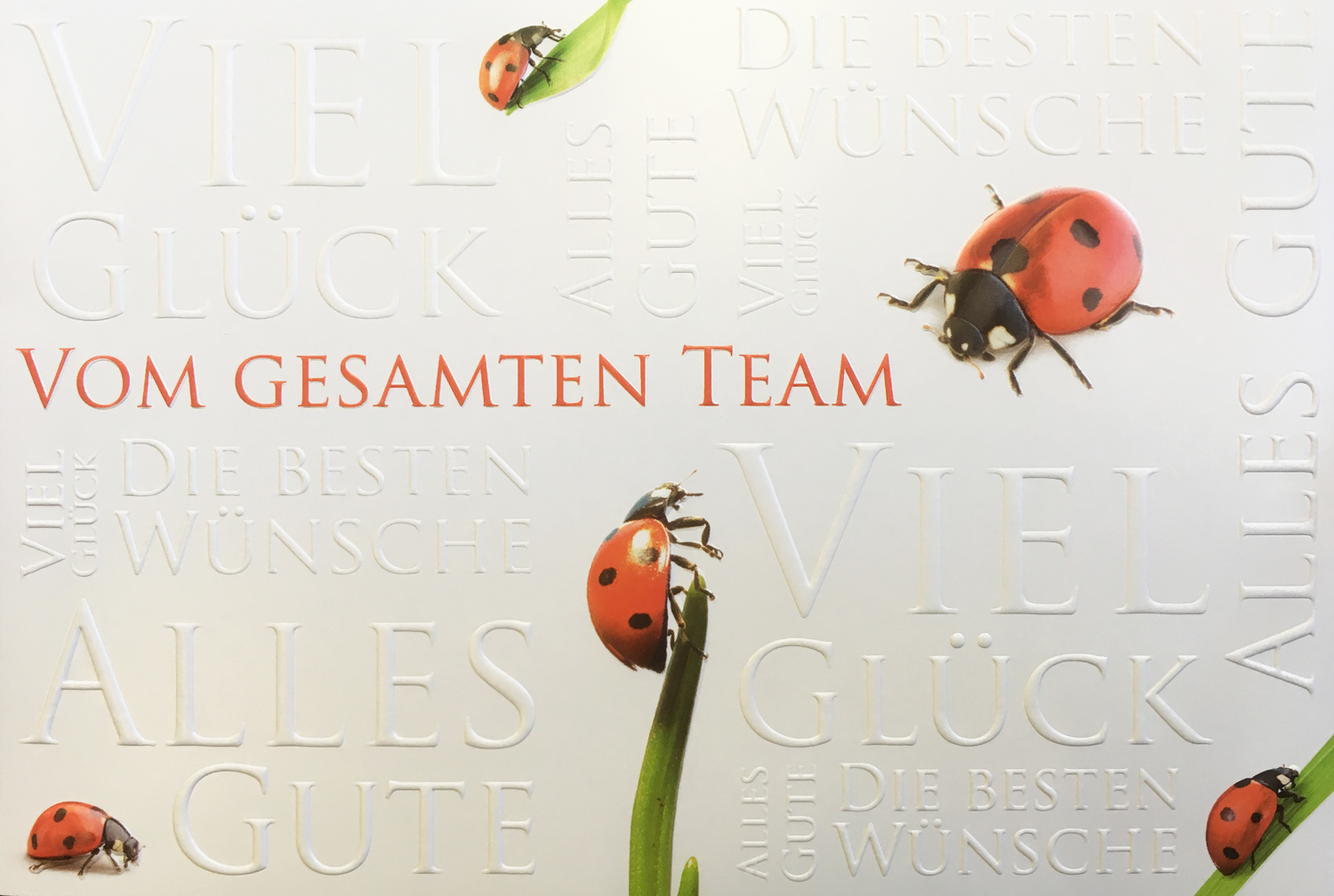 Glückwunschkarte "Vom gesamten Team" mit roten Marienkäfern und weißem Relieftext