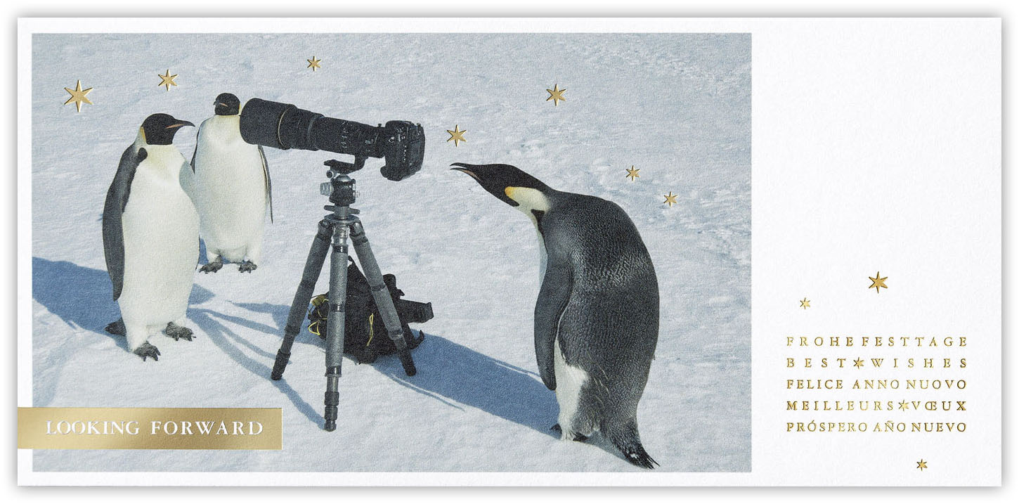 Festtagskarte mit Fotomotiv Pinguine mit Fotoapparat im Schnee mit internat. Festtagsgrüßen