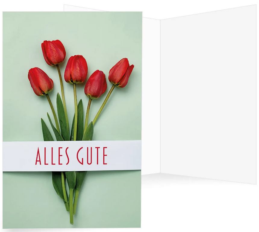 Blumige Grußkarte in mintgrün mit roten Tulpen und Schriftzug "Alles Gute" zugunsten Ärzte ohne Grenzen