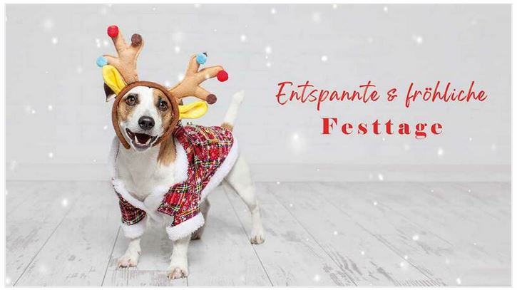 Humorvolle Weihnachtskarte mit lustigem Hund und dem Gruß "Entspannte und fröhliche Festtage"