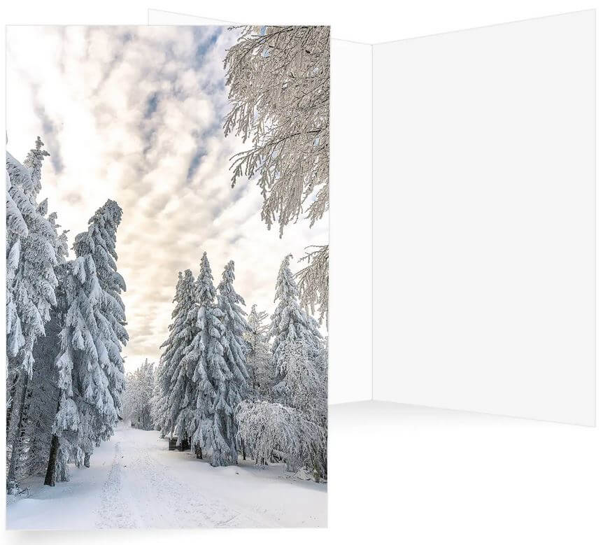 Winter-Weihnachtskarte mit verschneitem Waldweg und hohen Tannebäumen, ohne Gruß