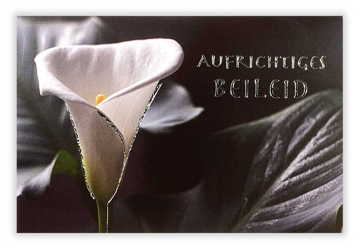 Beileidsgrußkarte mit Silberfolienprägung "Aufrichtiges Beileid" und weißer Calla-Blüte