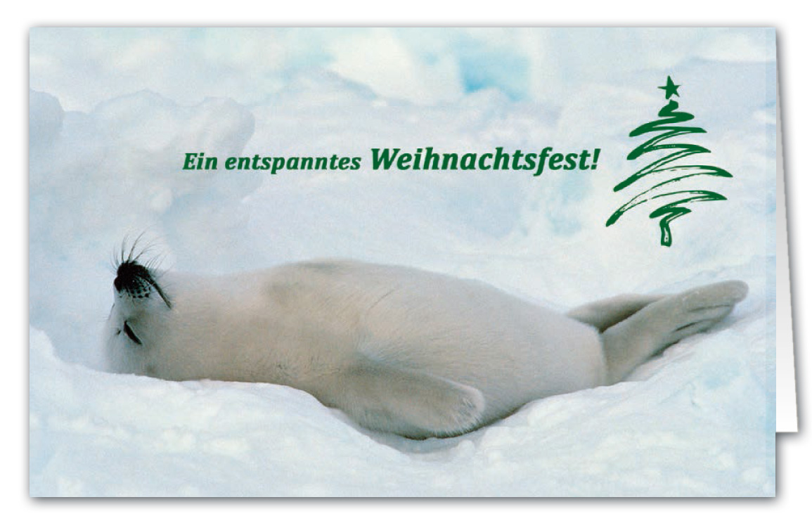 Tierische Weihnachtskarte mit Spendenanteil zugunsten: Ärzte ohne Grenzen e.V. und Weihnachtsgruß