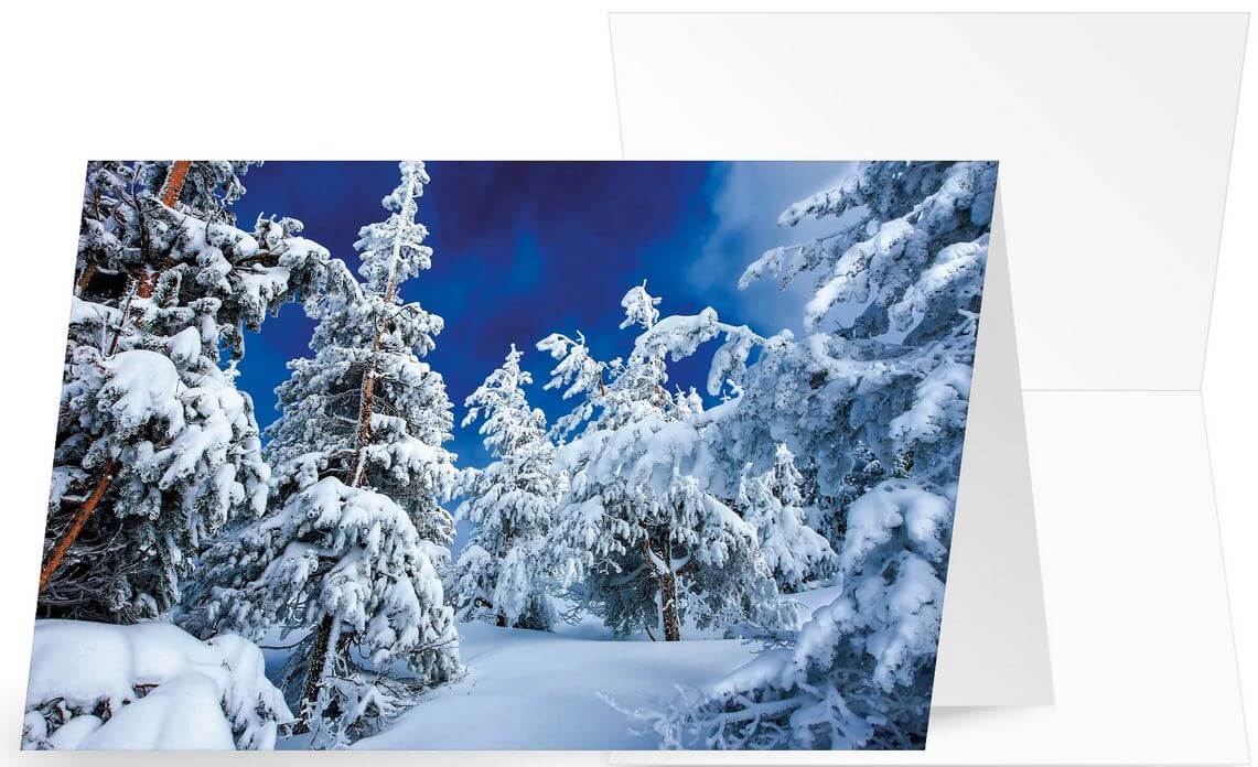 Winterliche Grusskarte mit verschneitem Wald und blauem Himmel, ohne Weihnachtsgruß