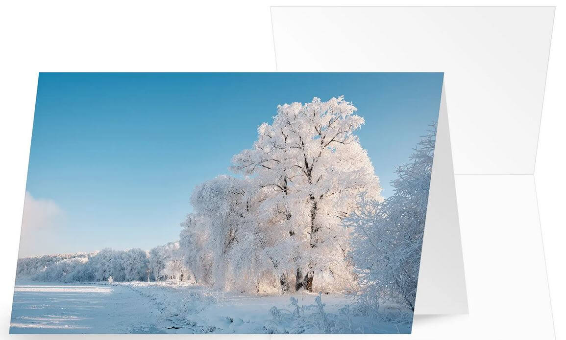 Winterliche Grußkarte ohne Weihnachtsgrüße mit vereisten Bäumen unter blauem Himmel