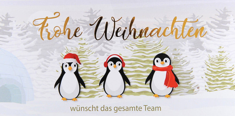 Team-Weihnachtskarte für die Peter Maffay Stiftung mit lustigen Pinguinen, DIN lang