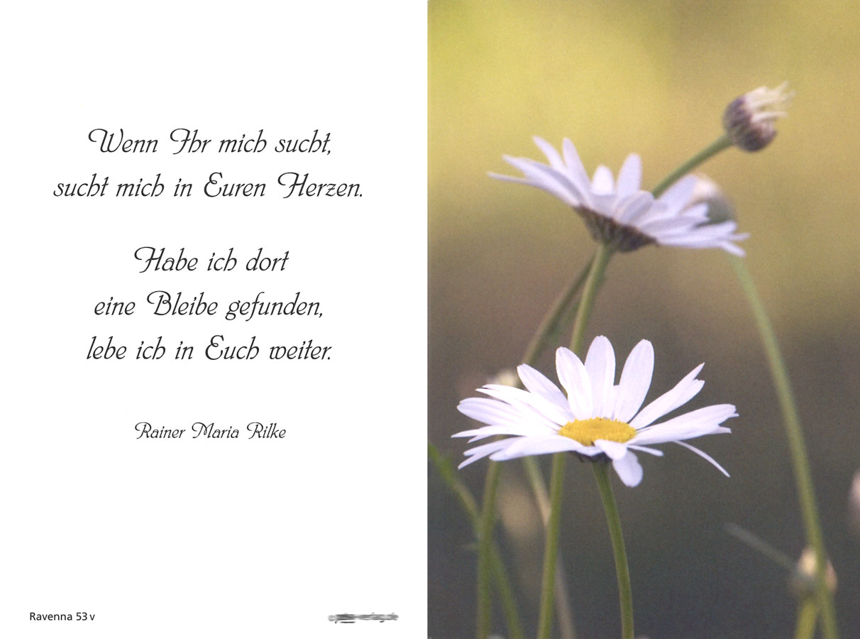 Sterbebildchen mit Trauermotiv Margeritenblüten und Zitat von R.M. Rilke