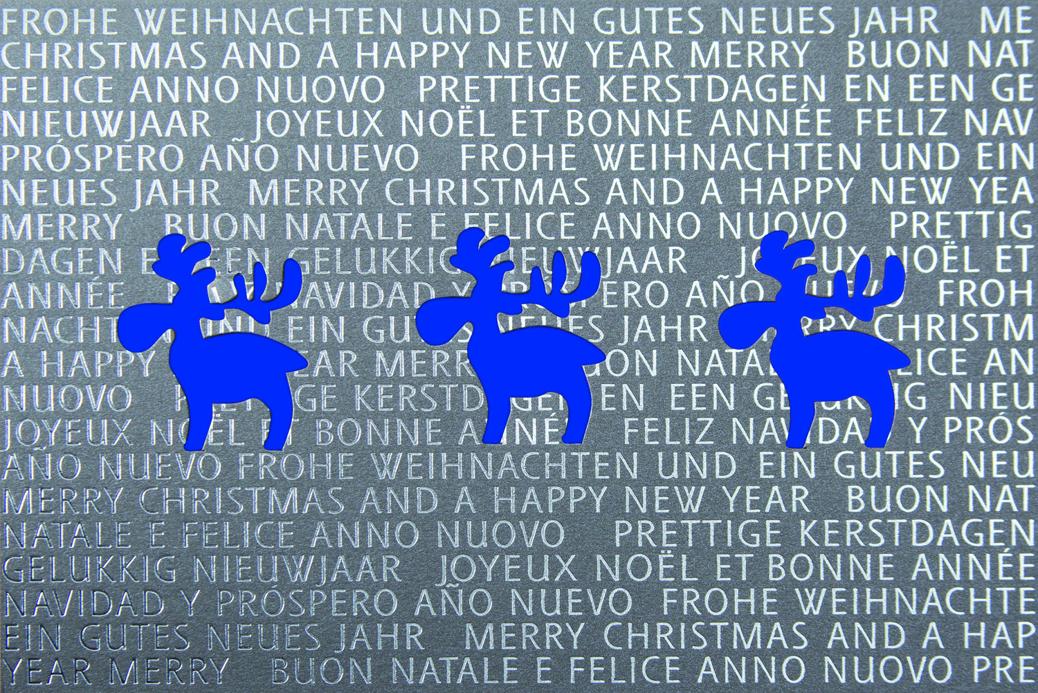 Weihnachtskarte anthrazit metallic mit Rentieren und blauem Einleger