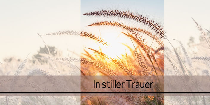 Beileidskarte "In stiller Trauer" mit Getreideähren im Licht der untergehenden Sonne, DIN lang