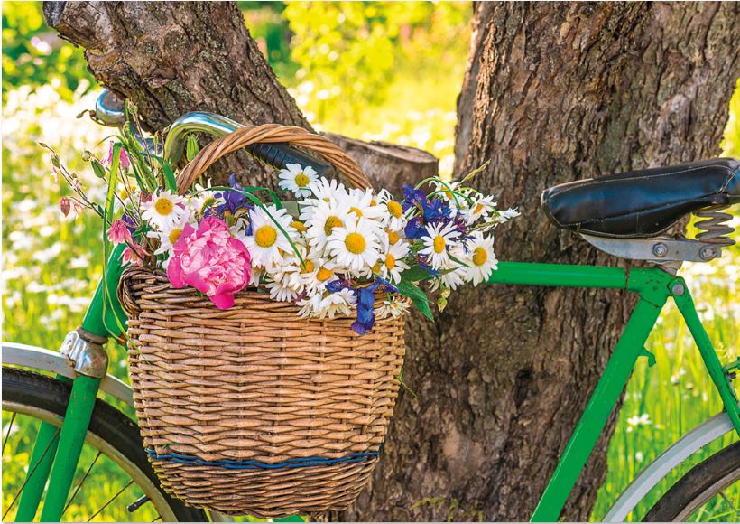 Farbenfroher Blumengruß mit Fahrrad, Weidenkorb und Wiesenblumen