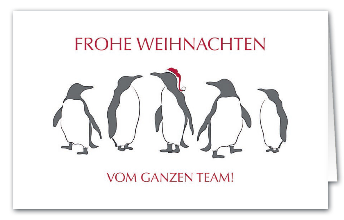 Firmen Weihnachtskarte mit Spendenanteil zugunsten Ärzte ohne Grenzen e.V. - Pinguine als Team