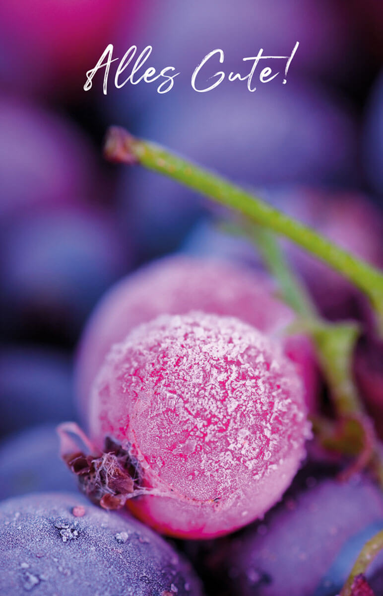 Winterliche Glückwunschkarte mit vereister Beerenfrucht und Gruß "Alles Gute!"